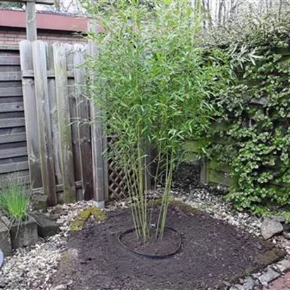 Gärtnerei Hartmann Ihr Gartencenter aus Deggendorf