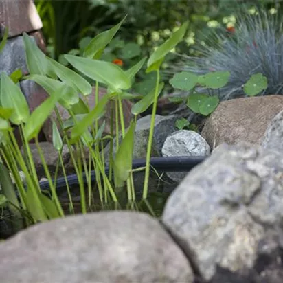 Gärtnerei Hartmann Ihr Gartencenter aus Deggendorf