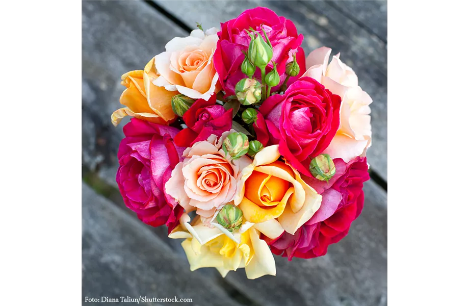 Mama, unsere Superheldin!